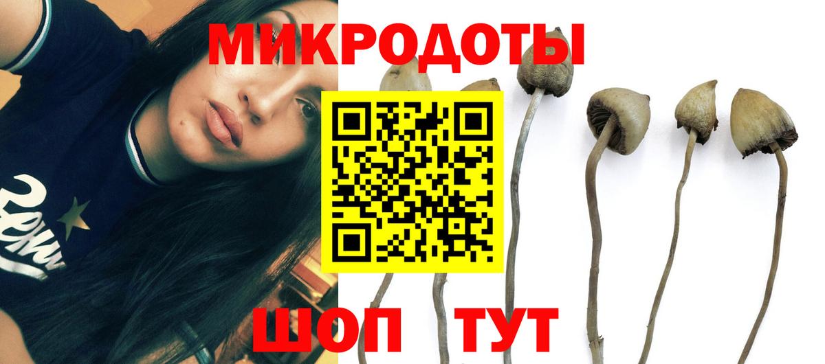 Галлюциногенные грибы прущие грибы  Вход с VPN  Армавир  Псилоцибиновые грибы мицелий 